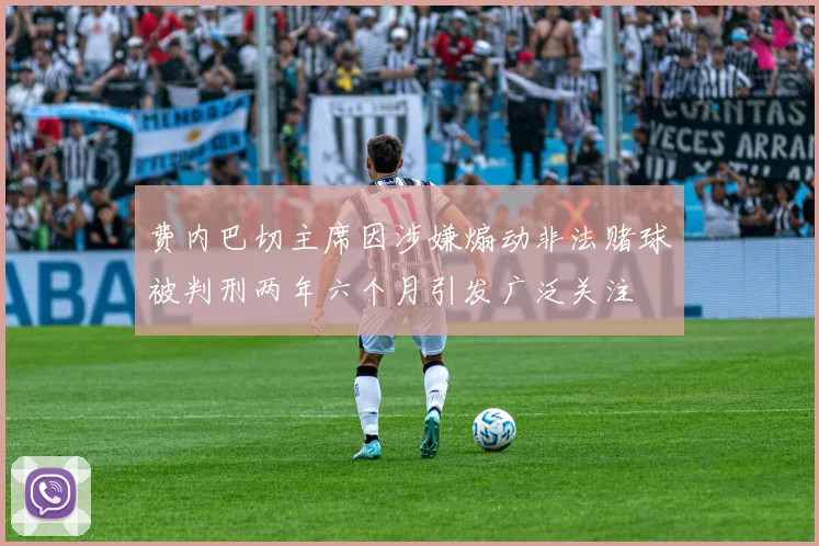 费内巴切主席因涉嫌煽动非法赌球被判刑两年六个月引发广泛关注