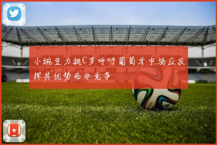 小豌豆力挺C罗呼吁葡萄牙中场应发挥其优势而非竞争