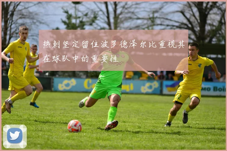 热刺坚定留住波罗德泽尔比重视其在球队中的重要性