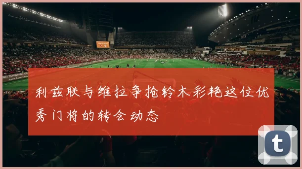 利兹联与维拉争抢铃木彩艳这位优秀门将的转会动态