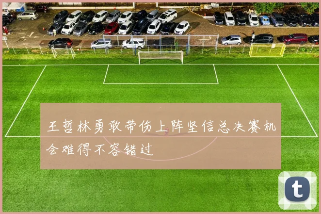 王哲林勇敢带伤上阵坚信总决赛机会难得不容错过